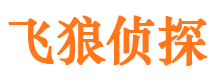 集宁市调查公司